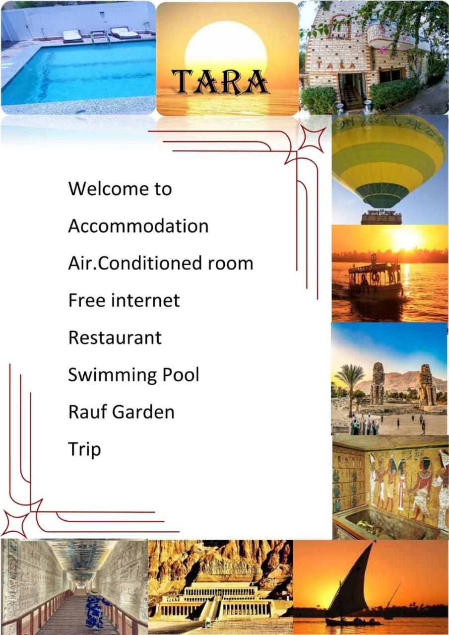 Tara Apartments Luxor Eksteriør bilde